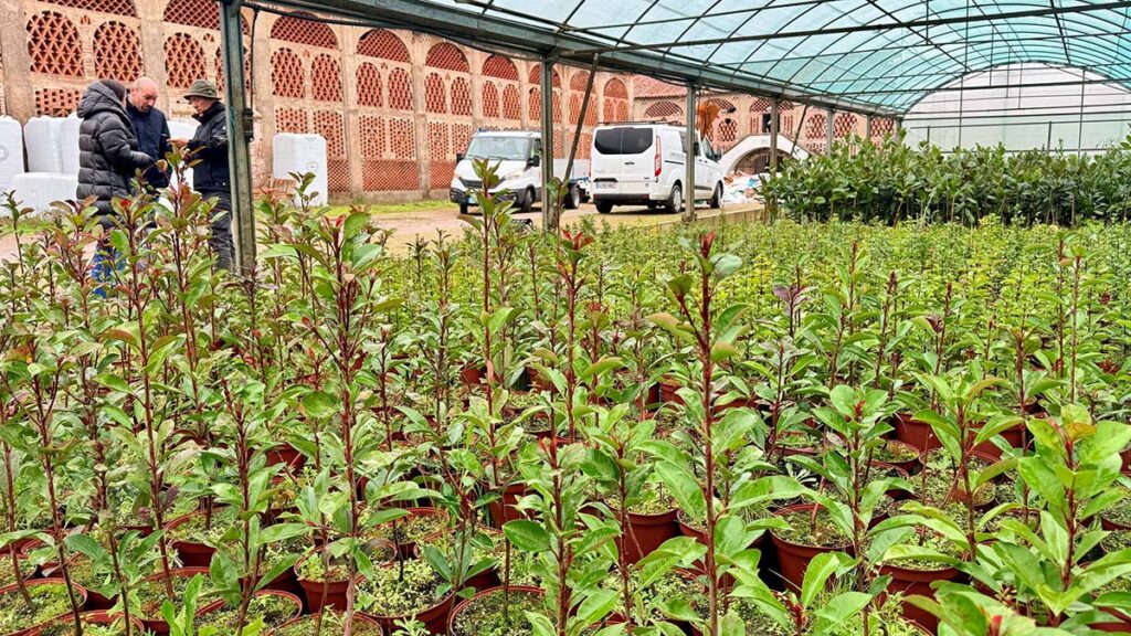 6032978765438192671 (00000002)