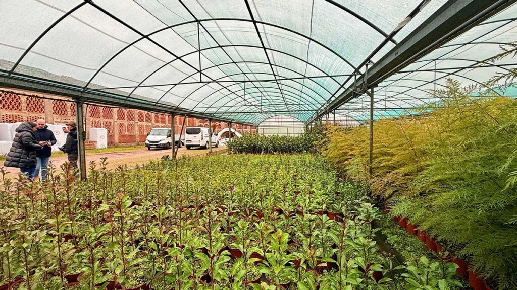 6032978765438192672 (00000002)