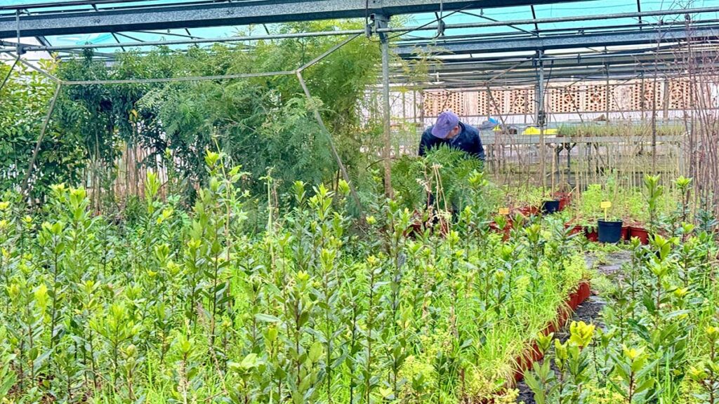 6032978765438192678 (00000002)