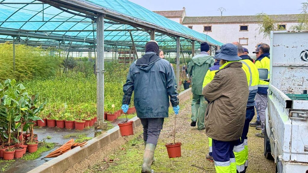 6032978765438192681 (00000002)