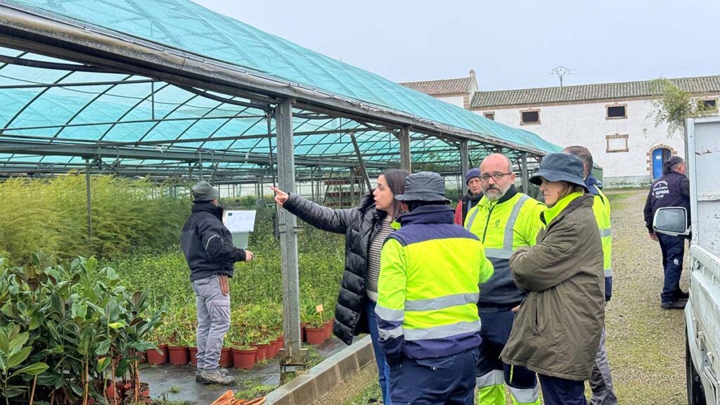 6032978765438192682 (00000002)