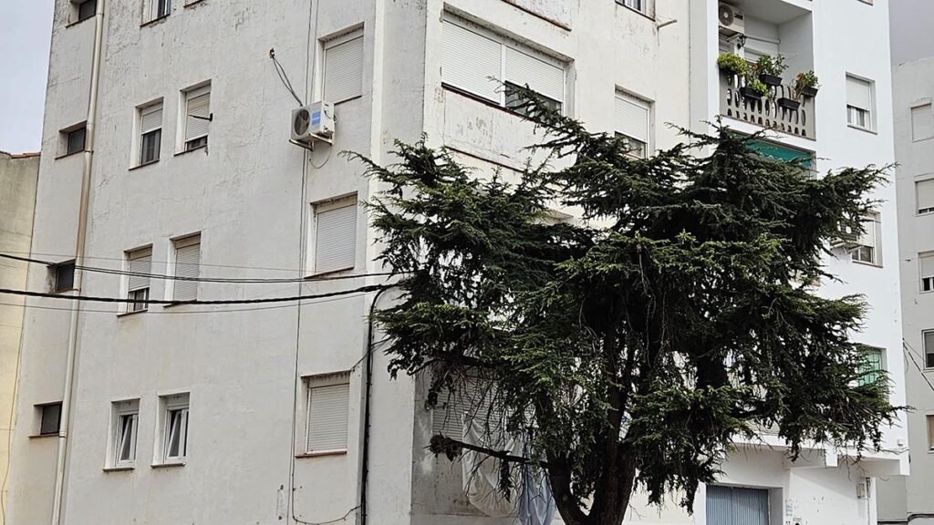 Publicada la convocatoria de ayudas para rehabilitación de viviendas en municipios de hasta 10.000 habitantes, que se podrán solicitar desde el 1 de marzo Casa 1