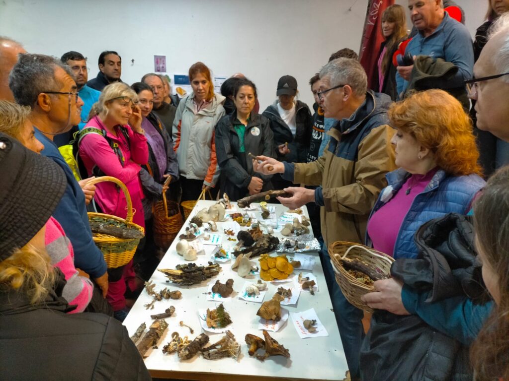 F. Jornada Navarredonda Rinconada