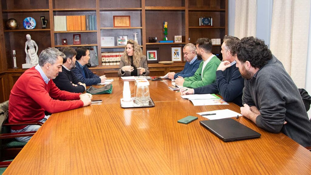 Reunión Accesibilidad Universal (4)