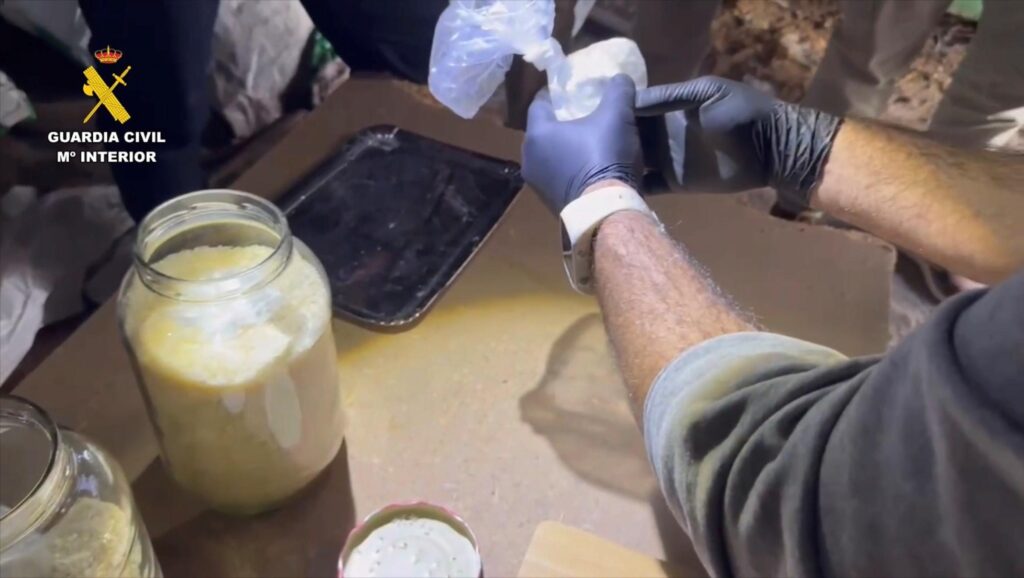 WhatsApp Image 2026-01-08 at 10.44.40