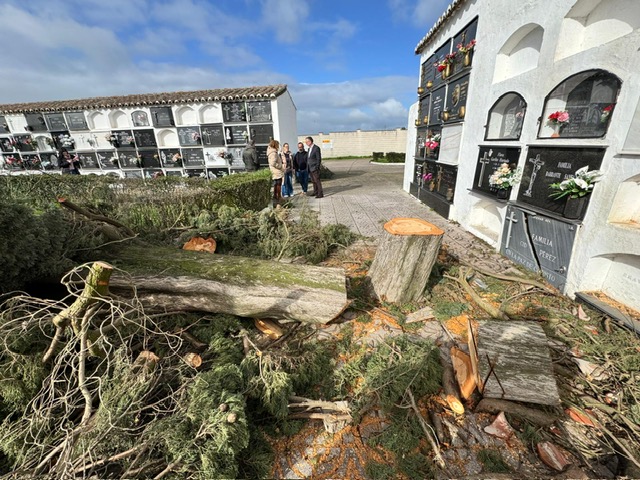 PHOTO-2026-01-31-14-09-45