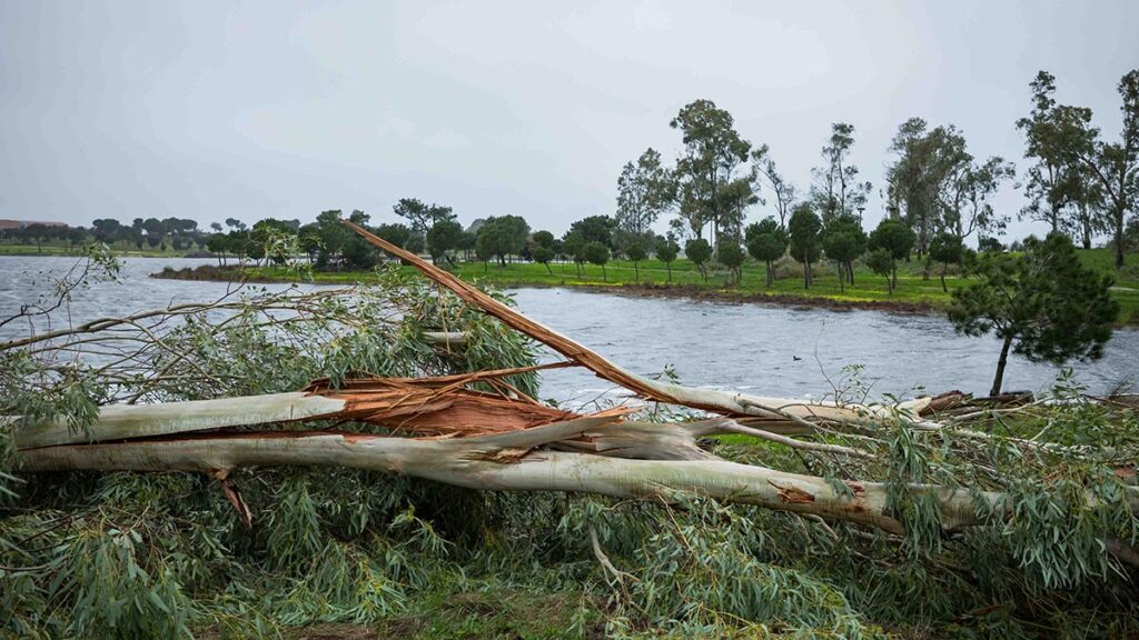 Protección Civil y Emergencias alerta por lluvias intensas y extraordinariamente persistentes Temporal