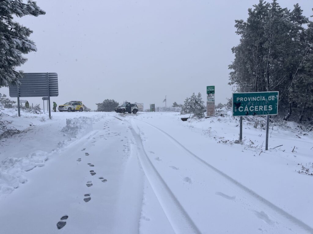 WhatsApp Image 2026-02-03 at 20.55.24