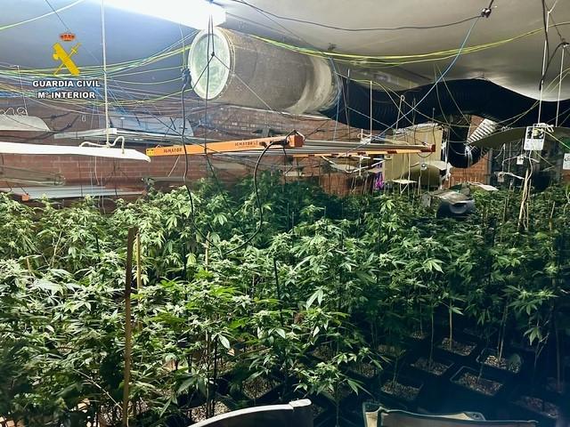 WhatsApp Image 2026-02-04 at 12.12.17