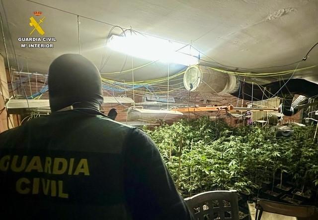 WhatsApp Image 2026-02-04 at 12.12.26