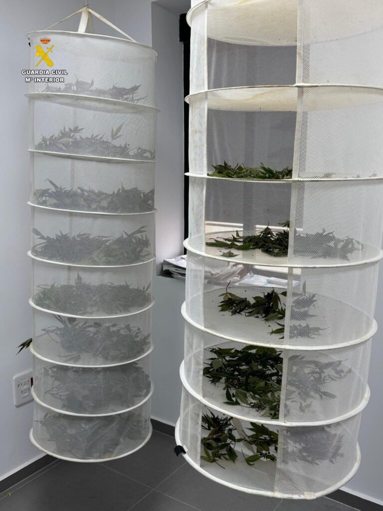 WhatsApp Image 2026-02-04 at 12.12.45