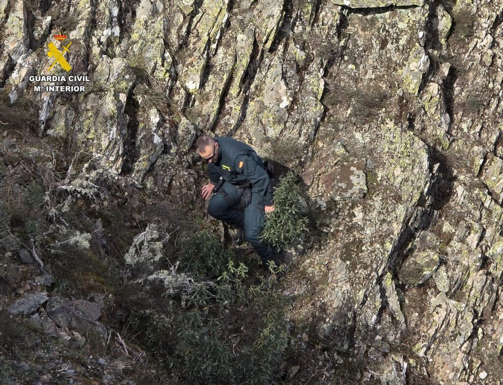 WhatsApp Image 2026-02-25 at 14.32.26