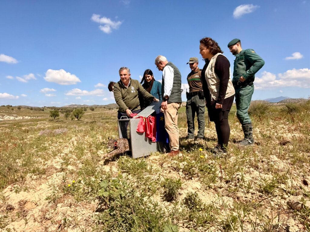 20260324 6 NP Sostenibilidad-Cesión lince Murcia