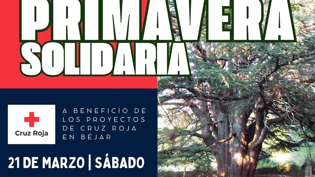 Cruz Roja Iniciativa solidaria (3)