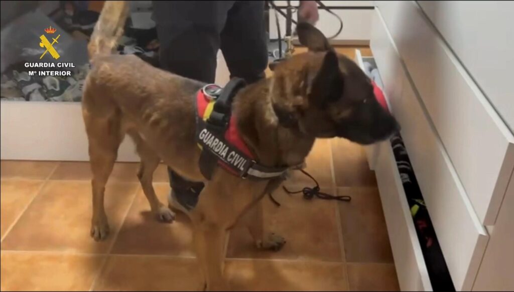 WhatsApp Image 2026-03-25 at 11.10.55