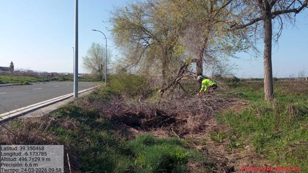 Cauces Torremocha en ejecucion (1)