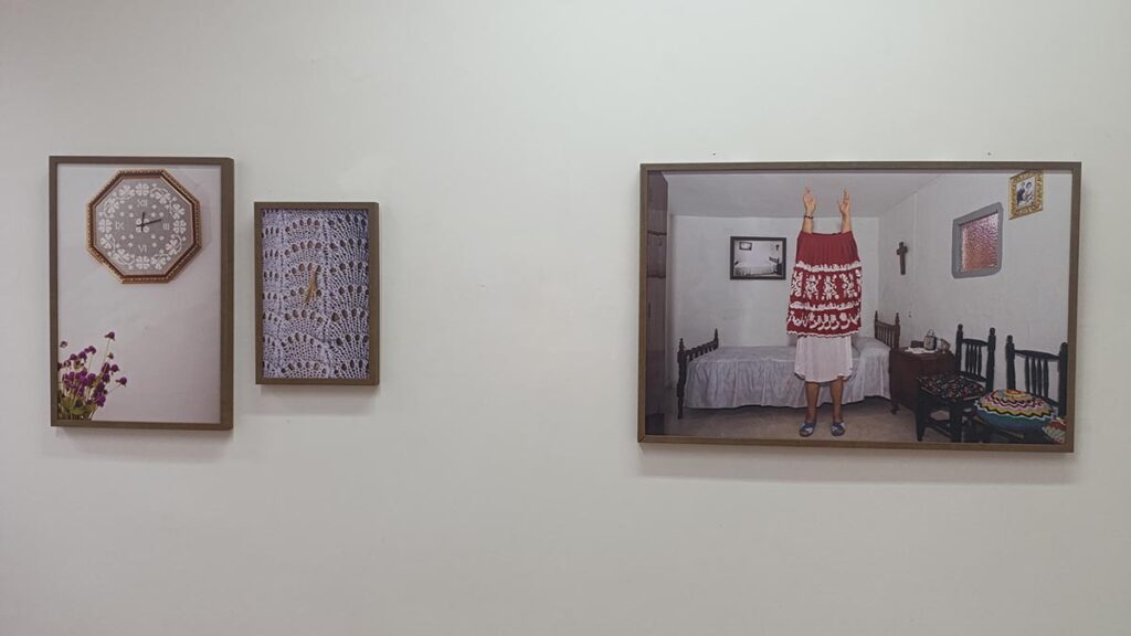 Novio Aceitunero Plasencia (2) (00000002)