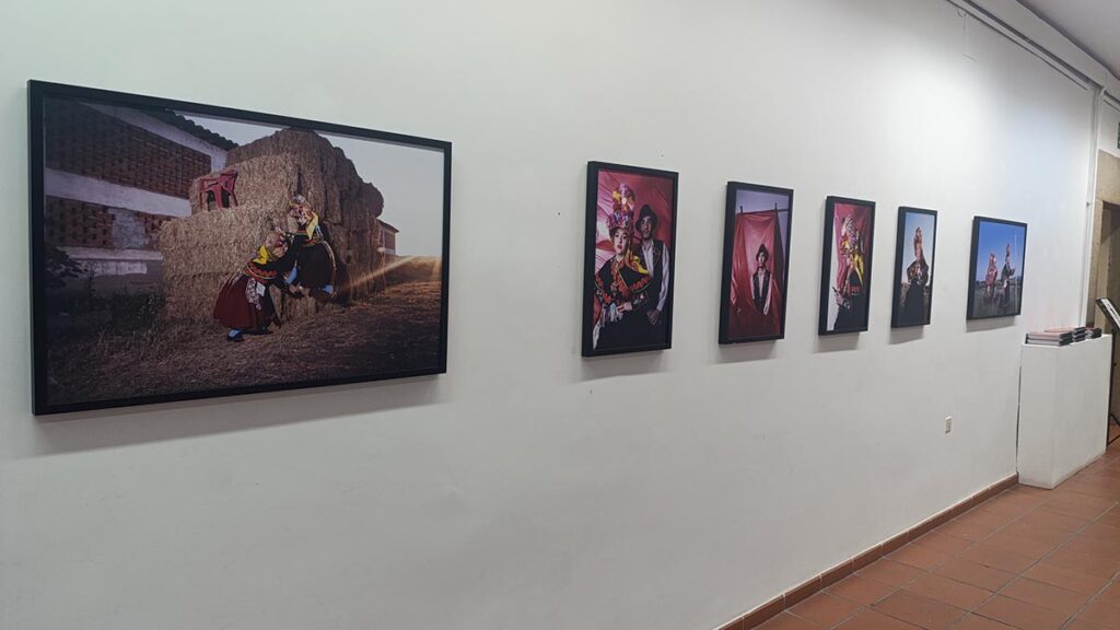 Novio Aceitunero Plasencia (3) (00000002)