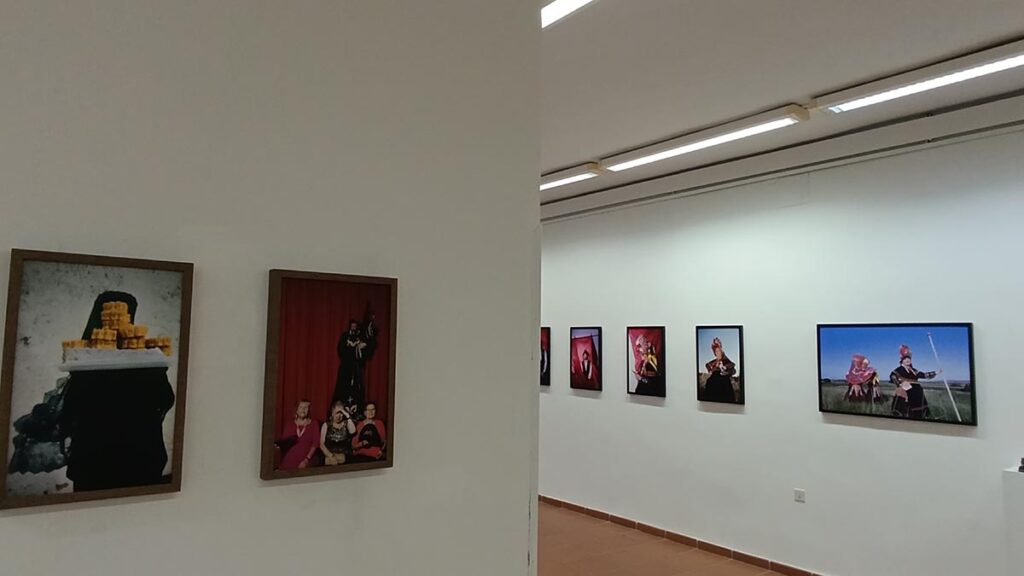 Novio Aceitunero Plasencia (5) (00000002)