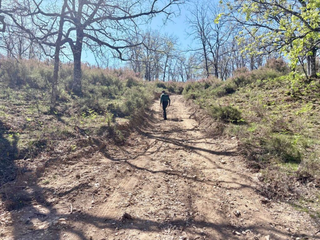 WhatsApp Image 2026-04-04 at 13.55.42