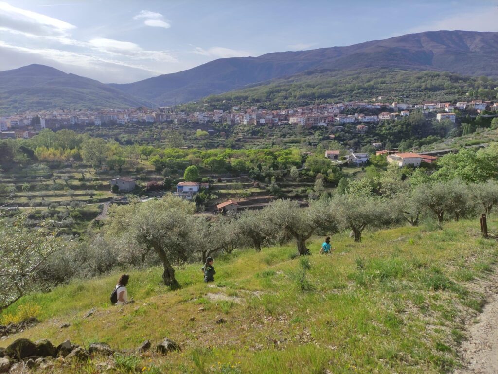 WhatsApp Image 2026-04-07 at 08.24.06