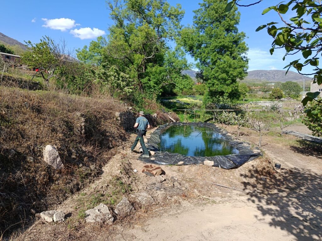 WhatsApp Image 2026-04-07 at 12.16.50 a