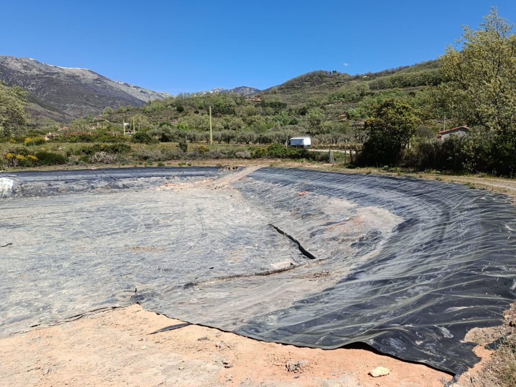 WhatsApp Image 2026-04-07 at 12.16.50 c