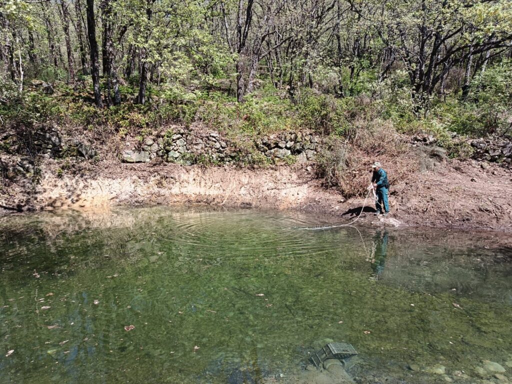 WhatsApp Image 2026-04-07 at 12.16.50 d