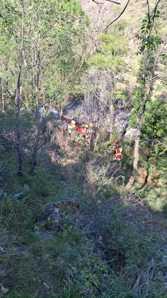 a03c789a-5f8f-4997-8e3b-fd7e3444ad54