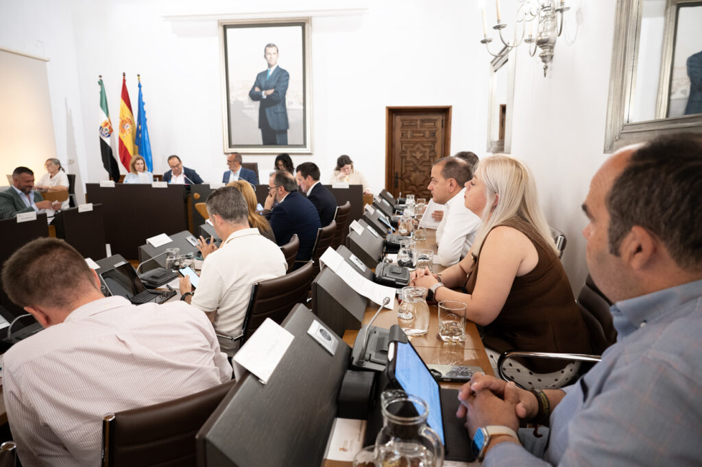 Pleno Mayo (20)