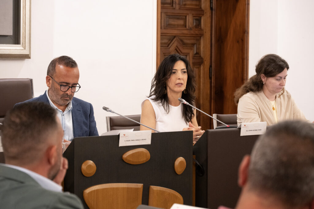 Pleno Mayo (22)