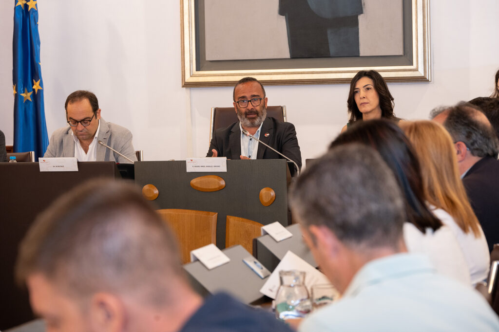 Pleno extraordinario (1)