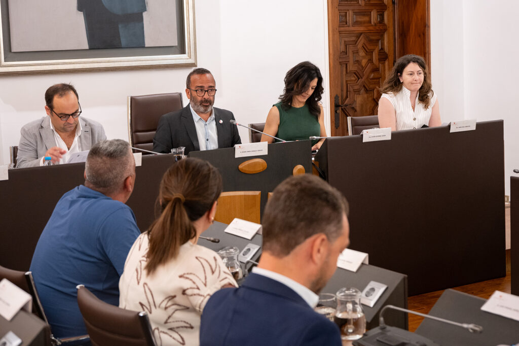 Pleno extraordinario (3)