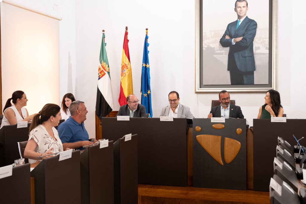 Pleno extraordinario (4)