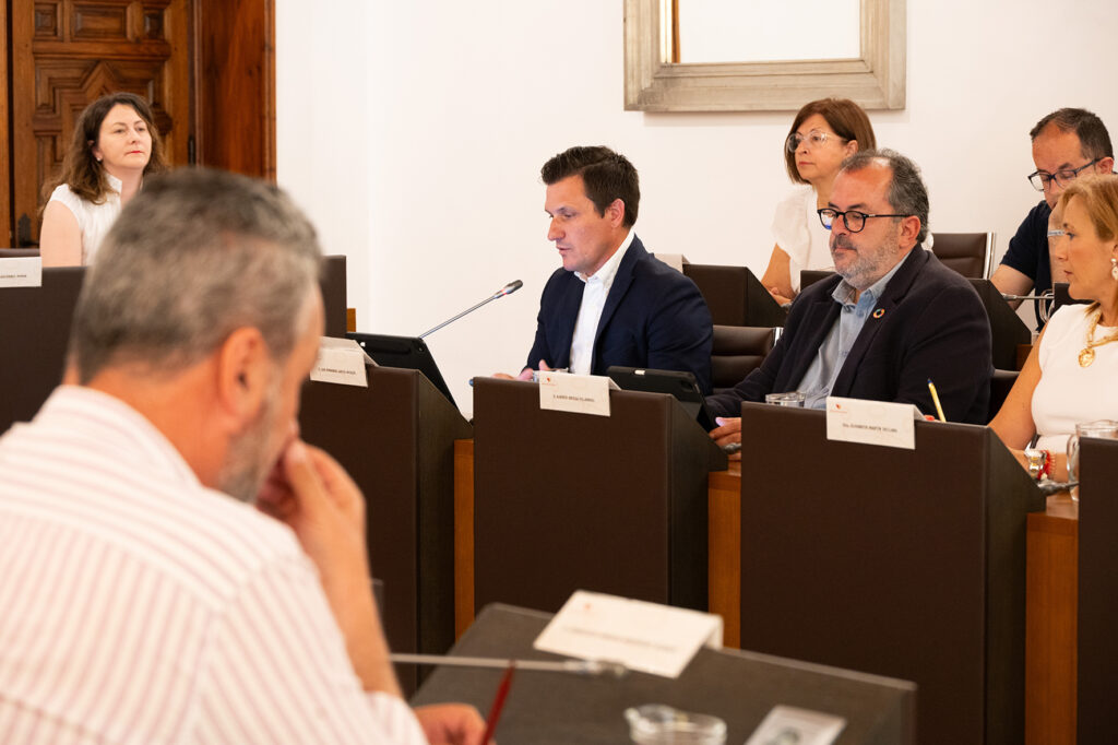 Pleno extraordinario (7)