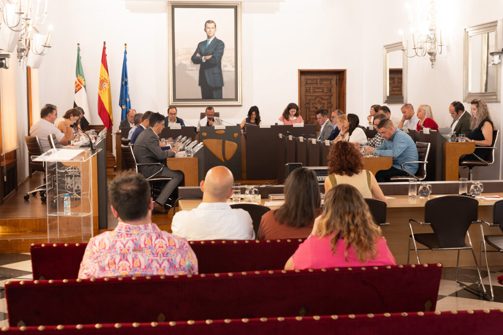 Pleno junio (12)