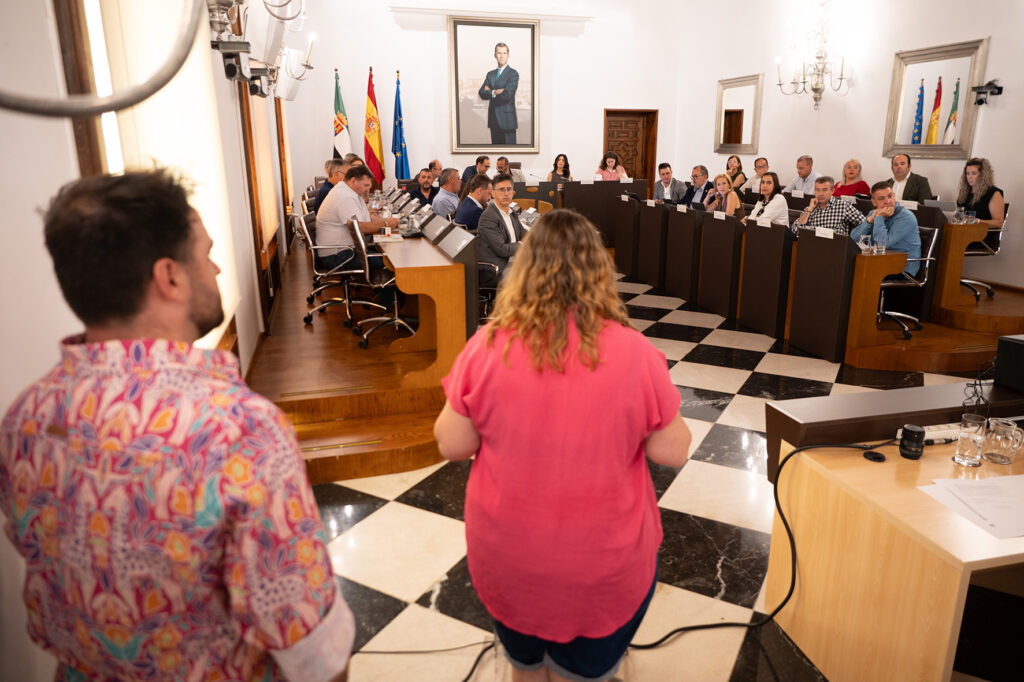 Pleno junio (2)