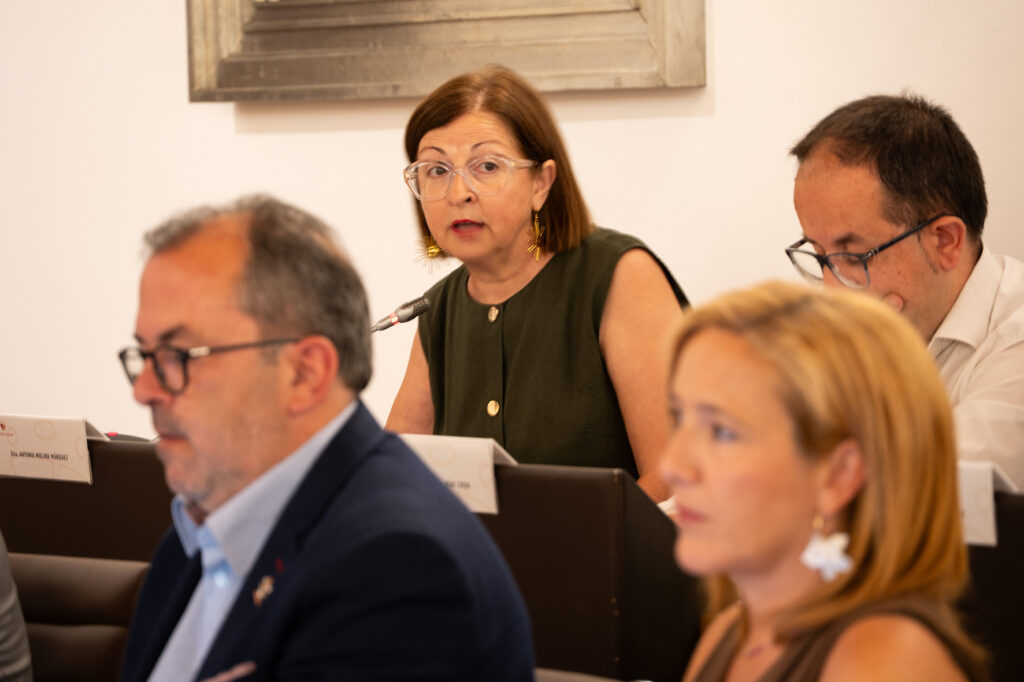 Pleno junio (6)