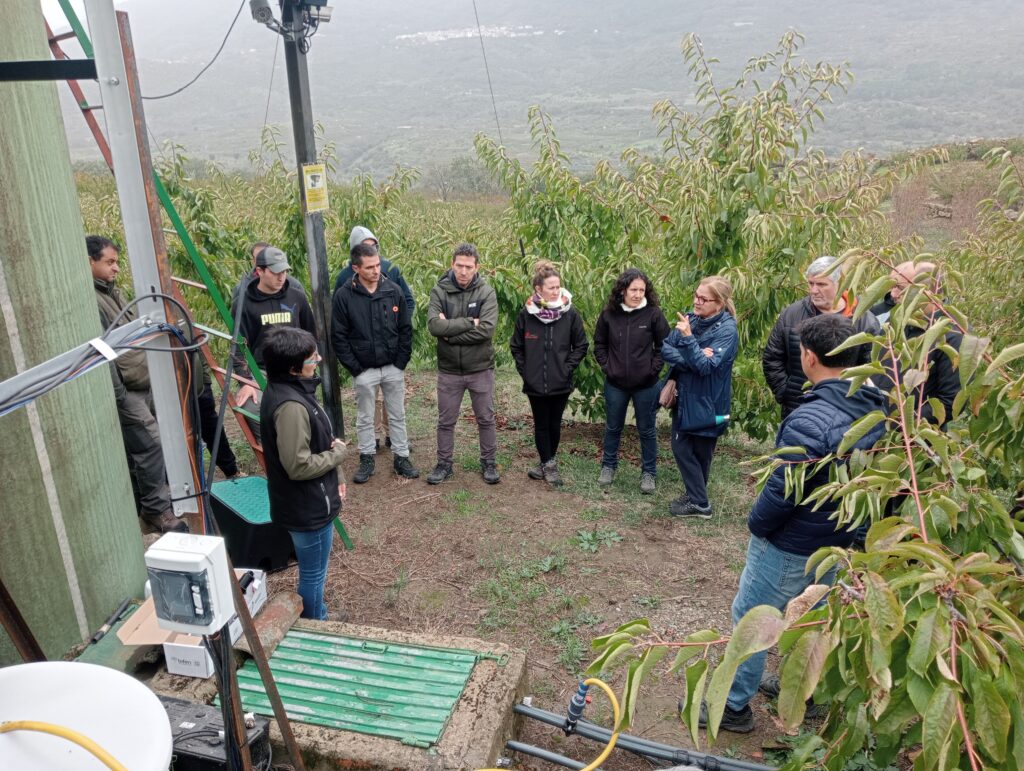 3_jornada de campo CICYTEX