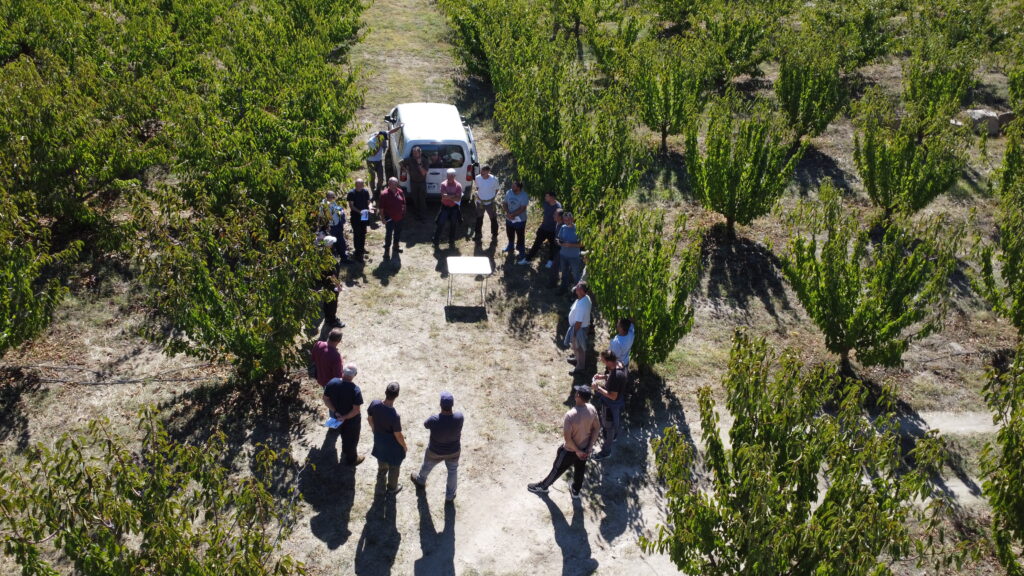 4_jornada campo transferencia cicytex