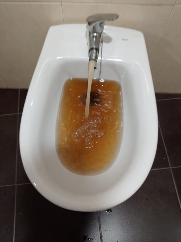 WhatsApp Image 2026-07-21 at 13.08.19