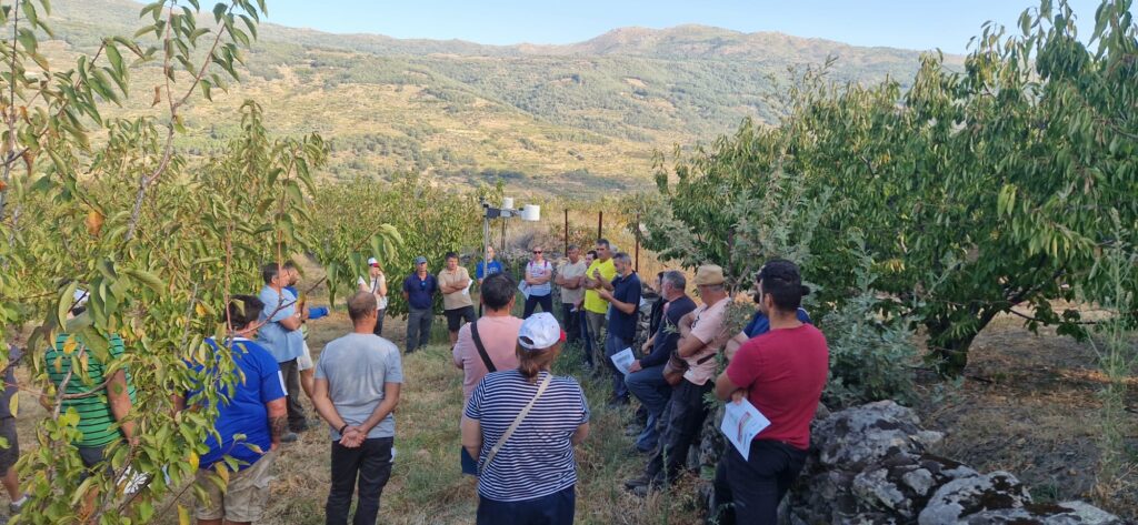 jornada de campo proyecto cicytex