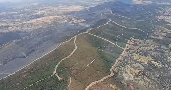 La Junta de Extremadura da por controlado el incendio de Casas de Millán 20260804 Paisaje Casas de Millán