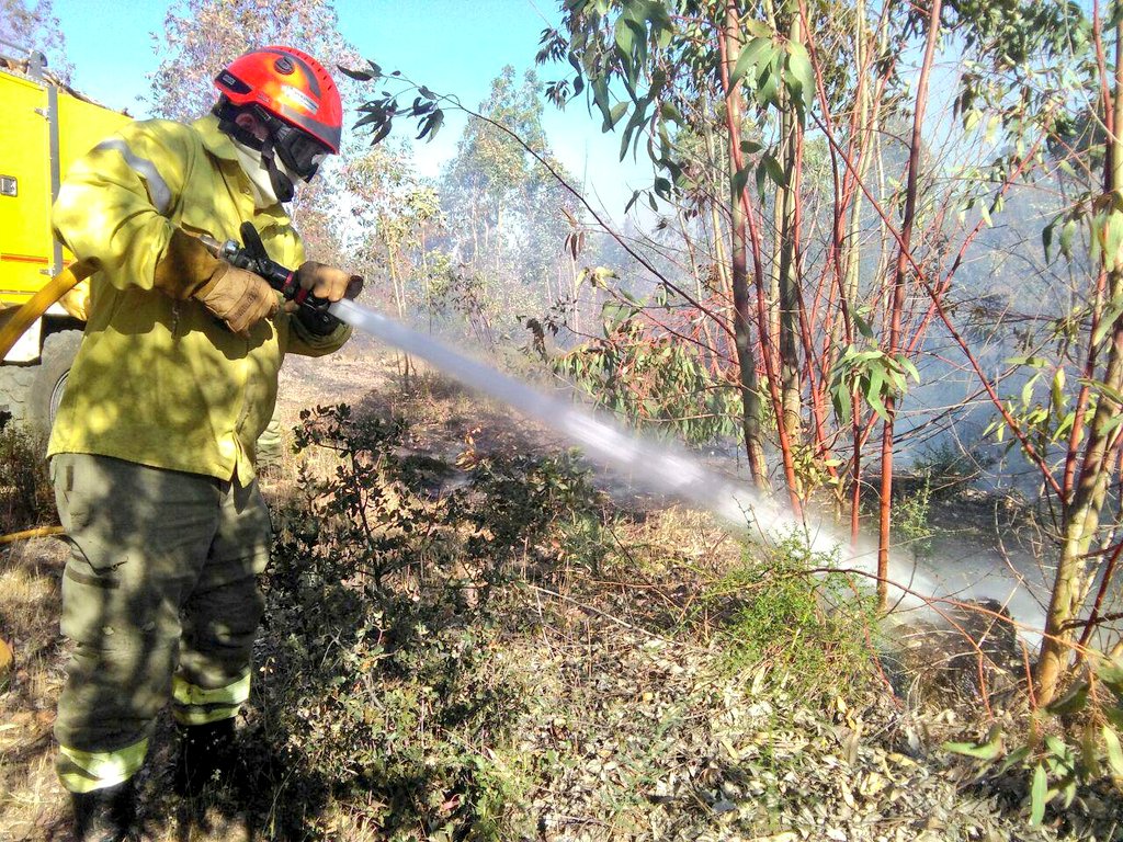 20260830 balance semanal incendios