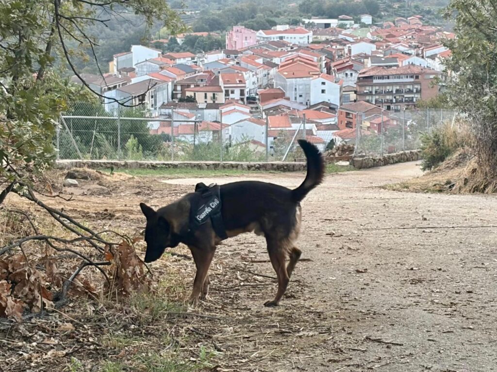 Desaparecido 3
