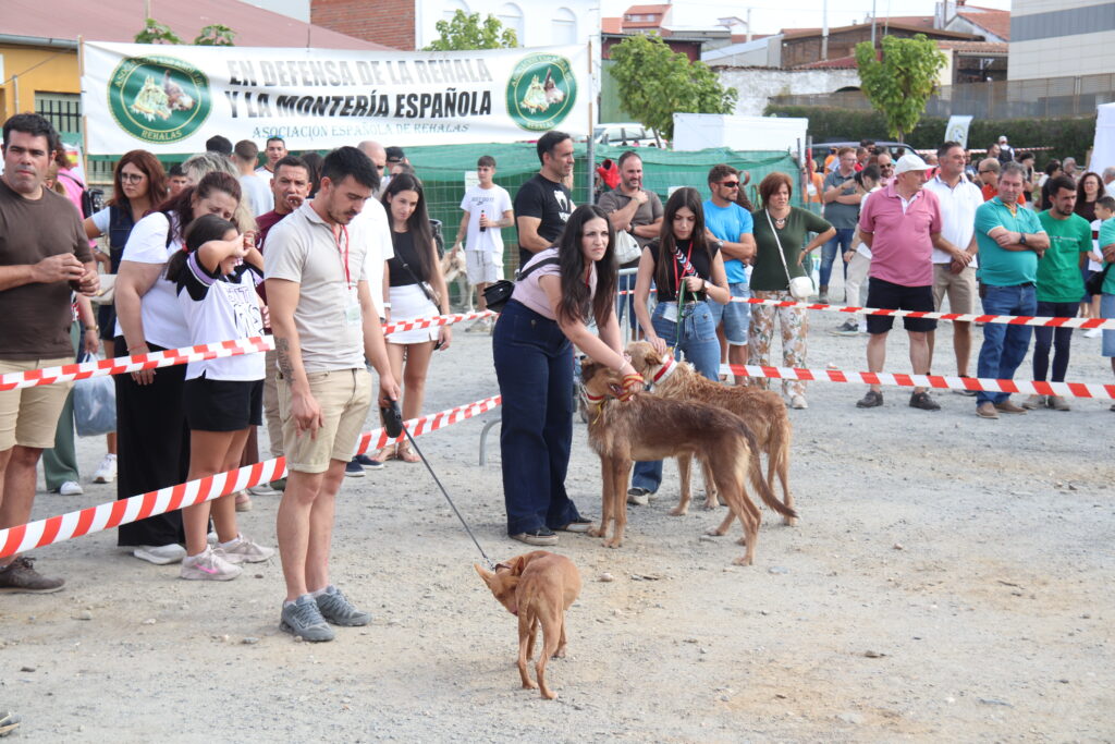 Feria del Perro 2026