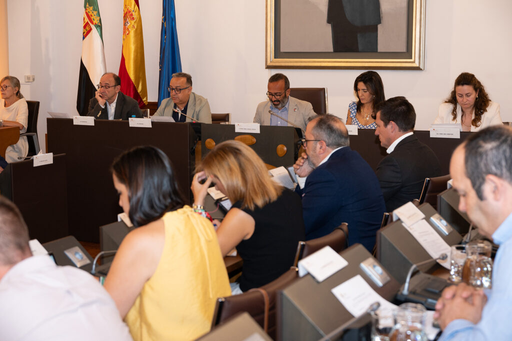 Pleno (6)