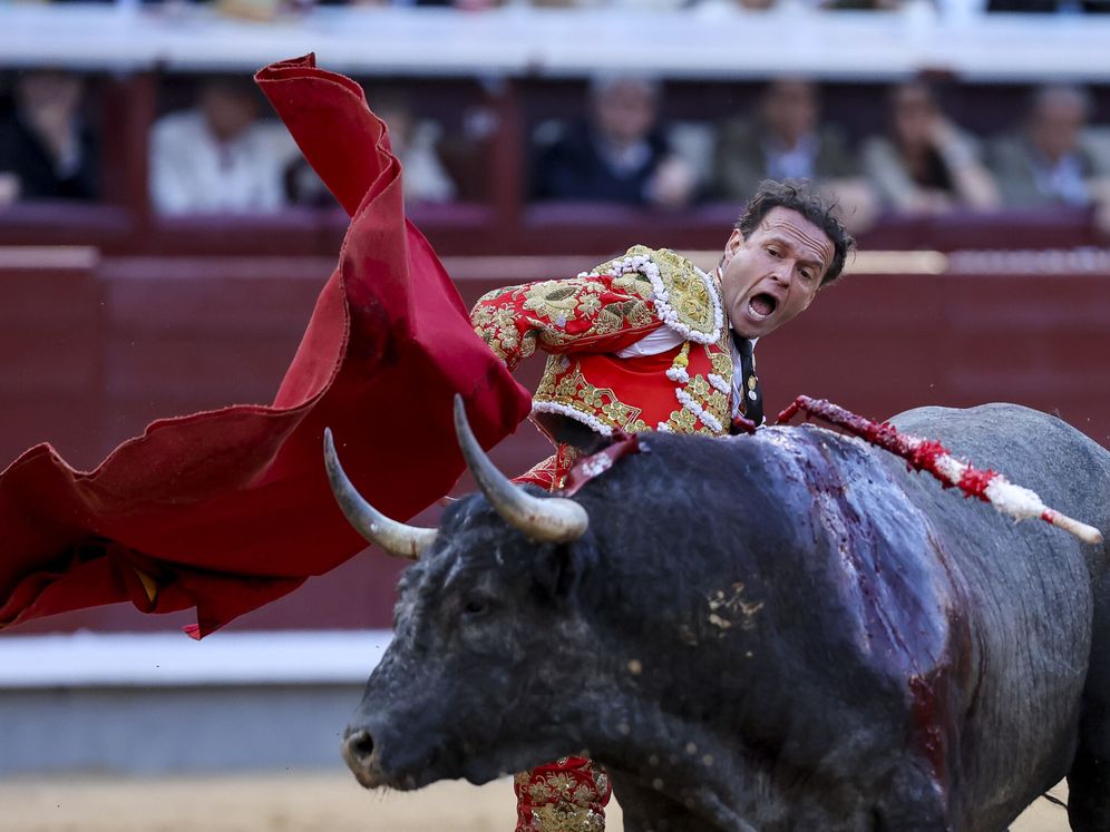 Antonio Ferrera, Cristina Sánchez, la Guardia Civil y Don Benito, Premios Extremadura a la Tauromaquia 2025 Antonio Ferrera, Cristina Sánchez, Guardia Civil y Don Benito, Premios Extremadura a la Tauromaquia 2025.