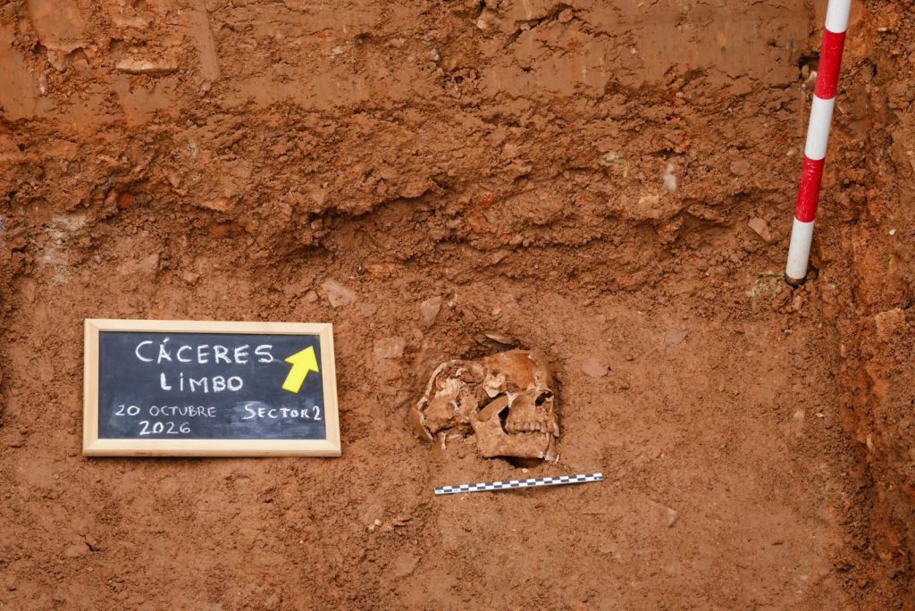 Cementerio Cc2