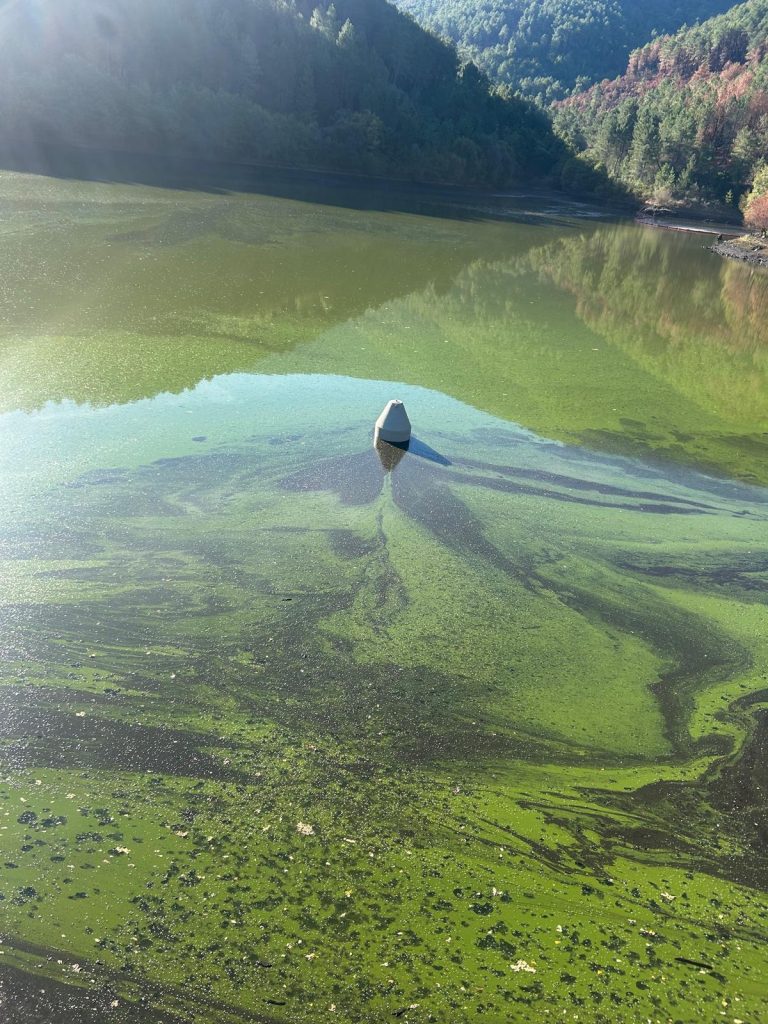 Estado Presa Abastecimiento de Agua Nuñomoral (1)